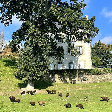 アパート - Moutons Ouessant - Bord Du Trieux Pontrieux
